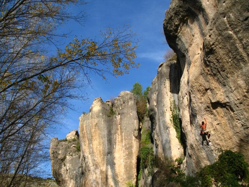 cuenca janek2.jpg