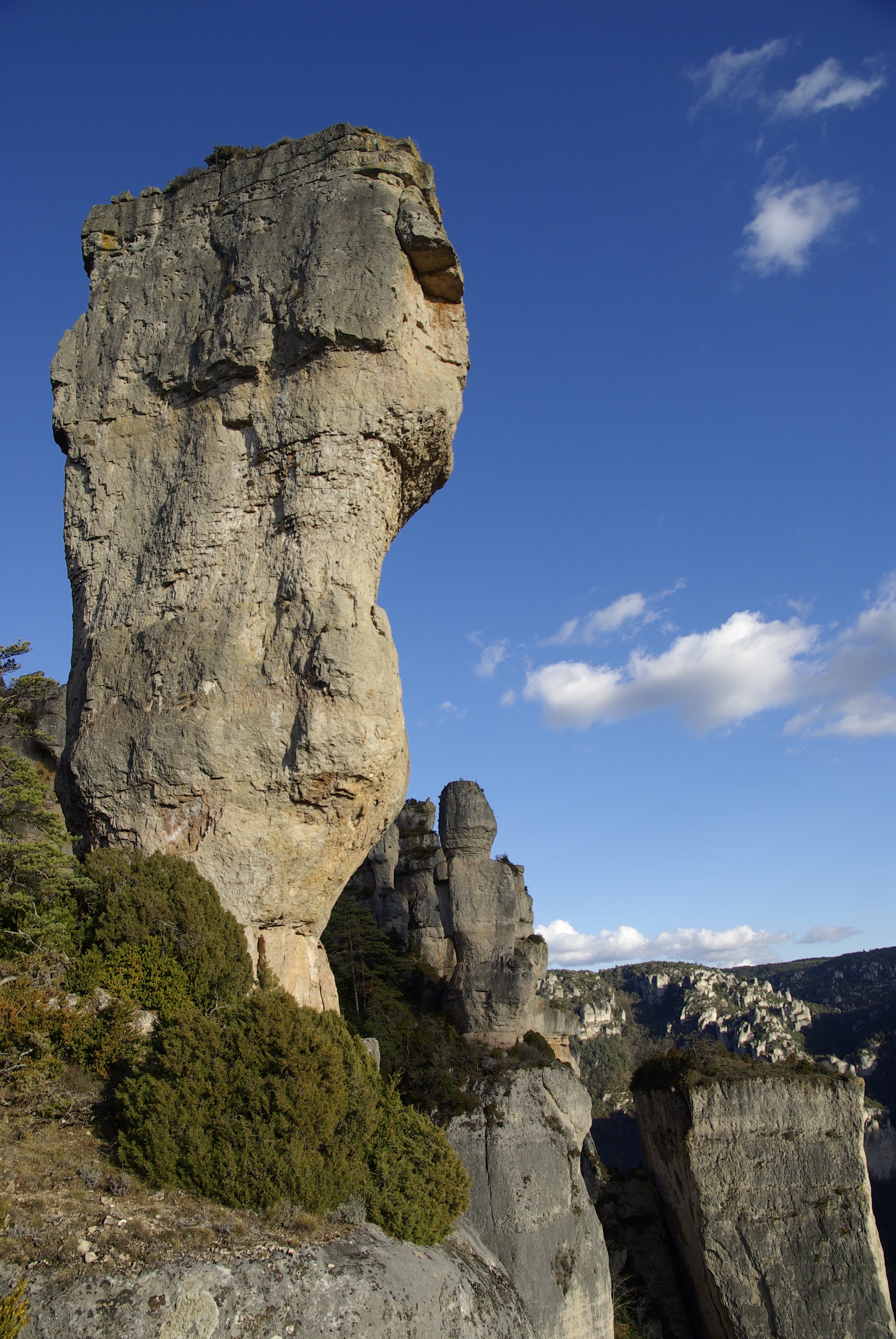 LaGonte1.JPG