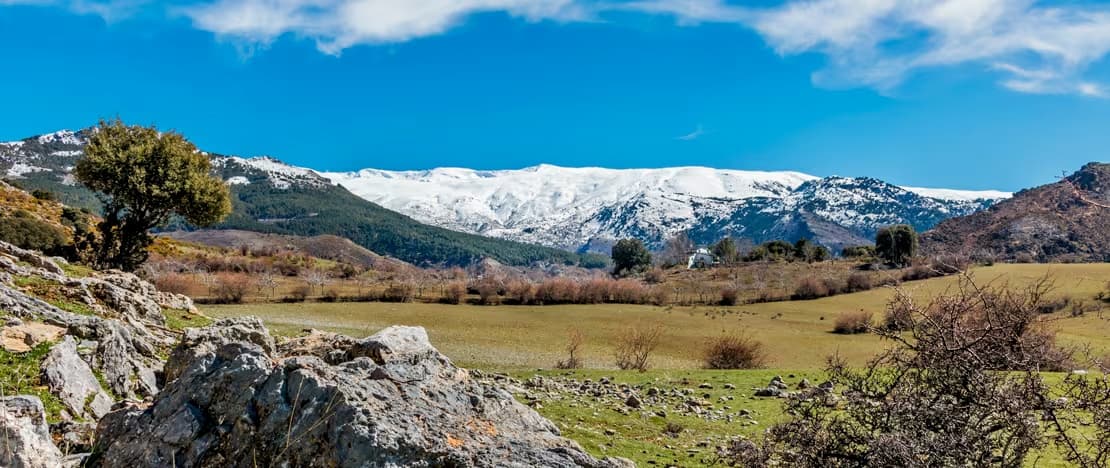 parque-nacional-sierra-nevada-granda-s1118762780.jpg
