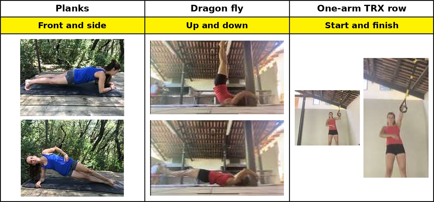 Exercise guide: front and side planks, dragon fly up and down, and one-arm TRX row start and finish